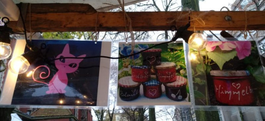 Berlin Markt in Aid of Pafosmietzcats