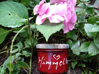 Berlin Markt in Aid of Pafosmietzcats