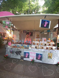 Pafos-streuner-katzen-Marktplatz-Berlin